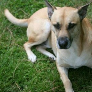 Meet your Posher, Kristen